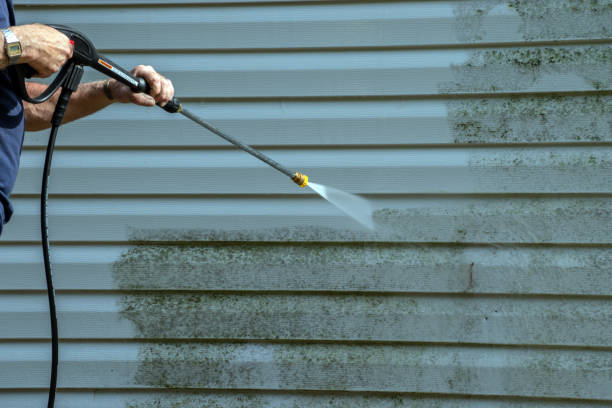 Trusted Sheffield, AL Pressure Washing Services Experts